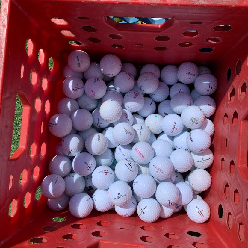 Golf Balls Mixed Brands Used $0.50 Each Golfing Balls - photo 3