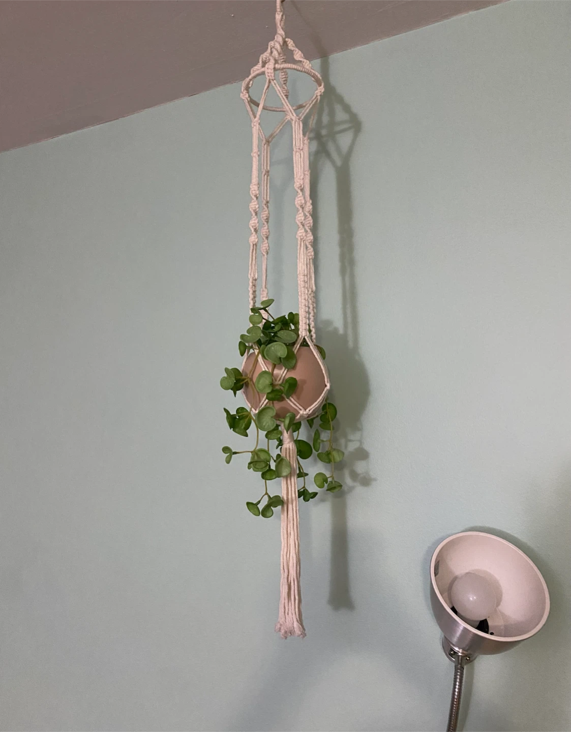 Macramé Plant hanger with pot and artificial plant