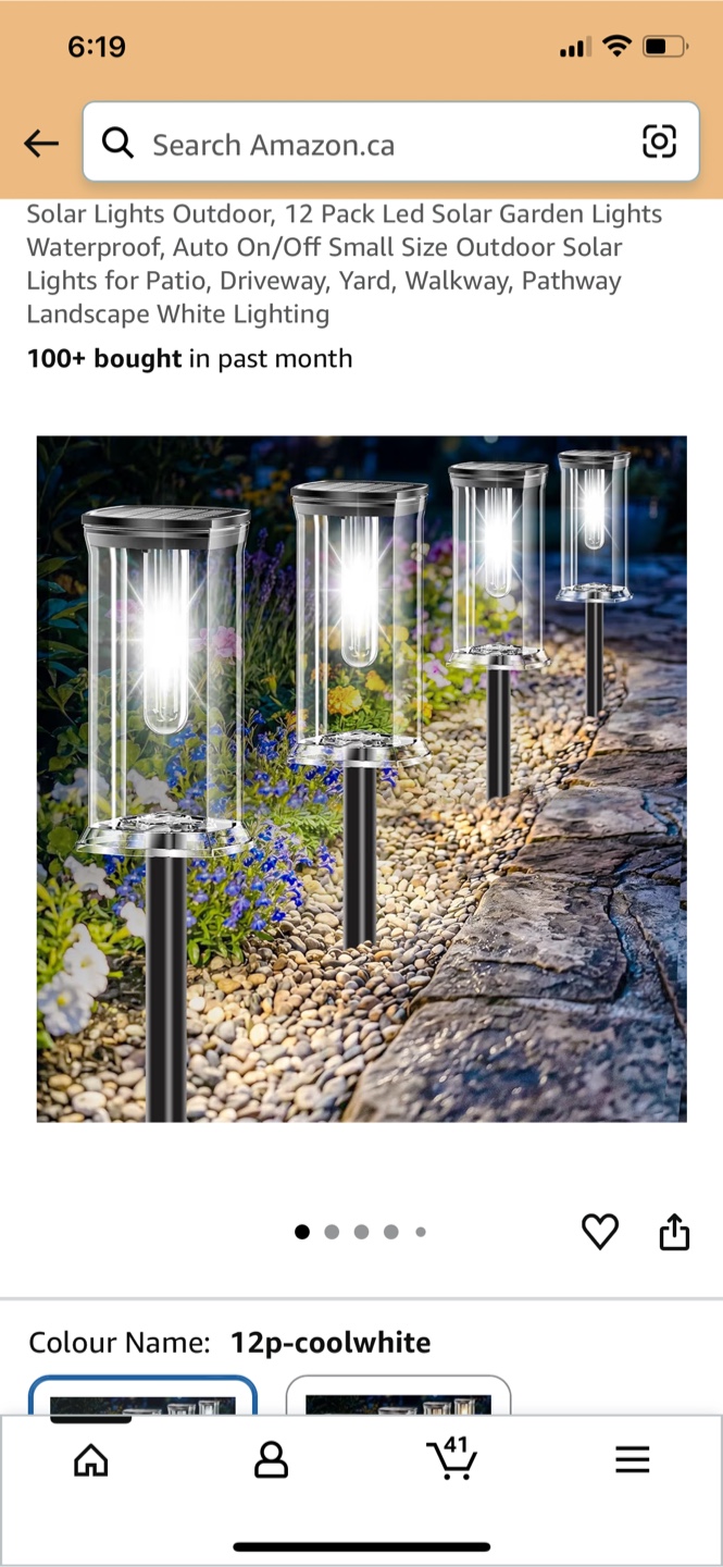 12 Pack LED Solar Garden Lights