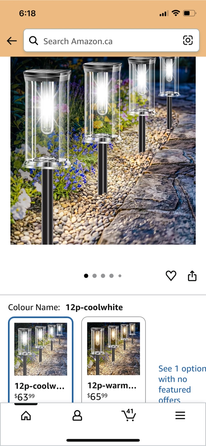12 Pack LED Solar Garden Lights - photo 2