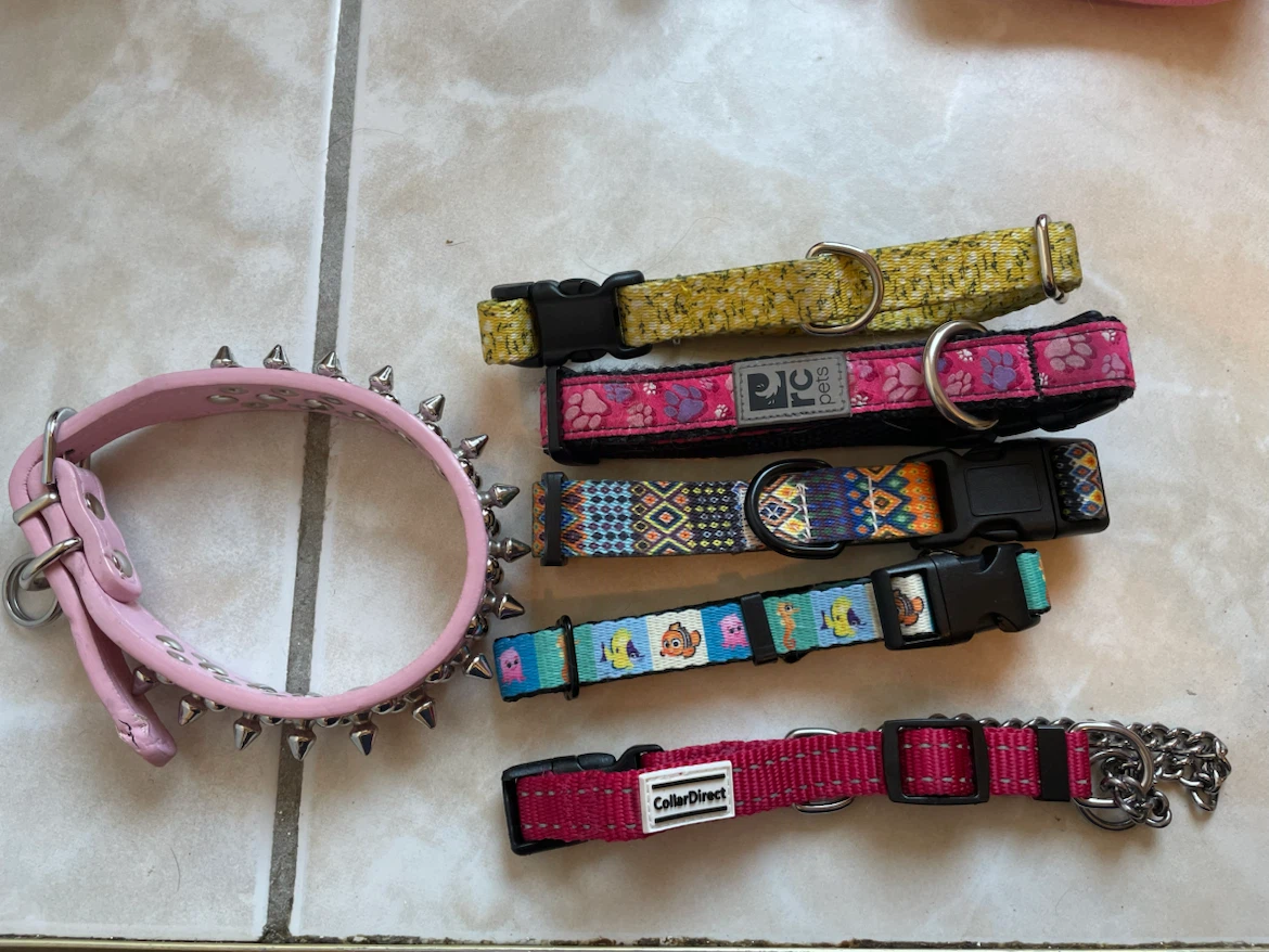 Small Dog Collars Lot