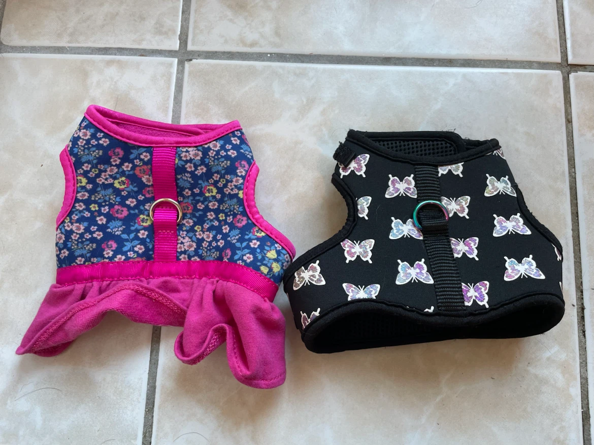 XS Dog Harnesses Set