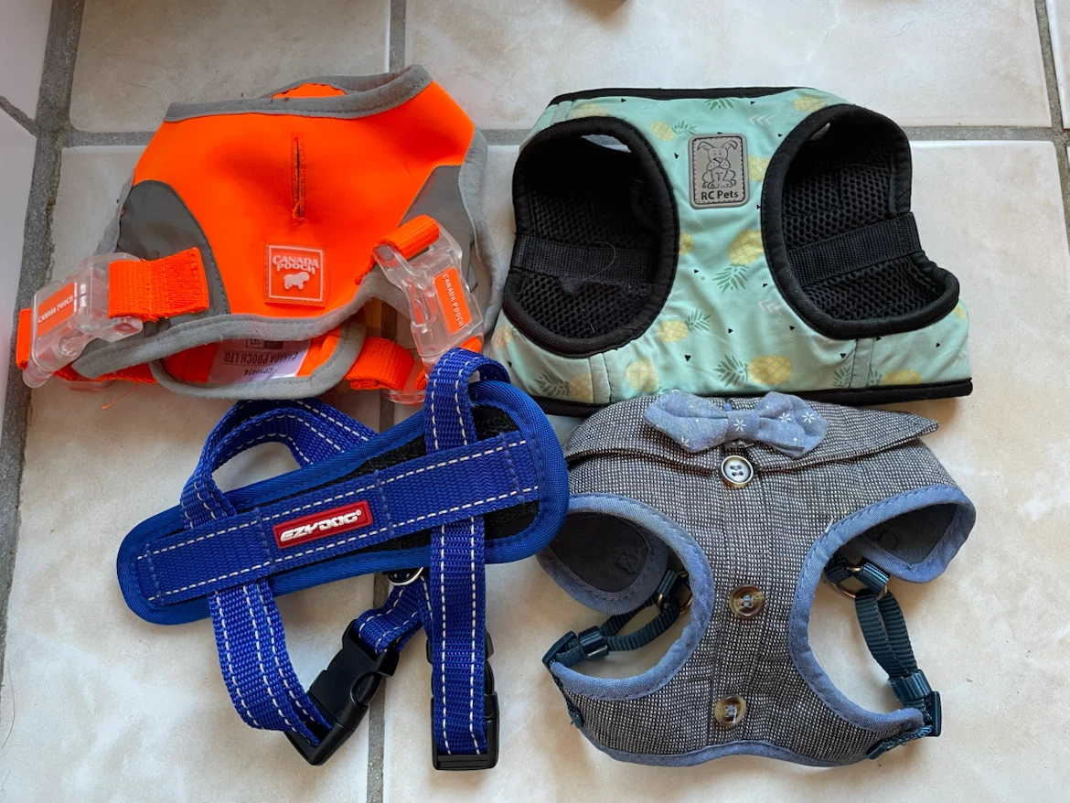 XS Dog Harnesses Lot