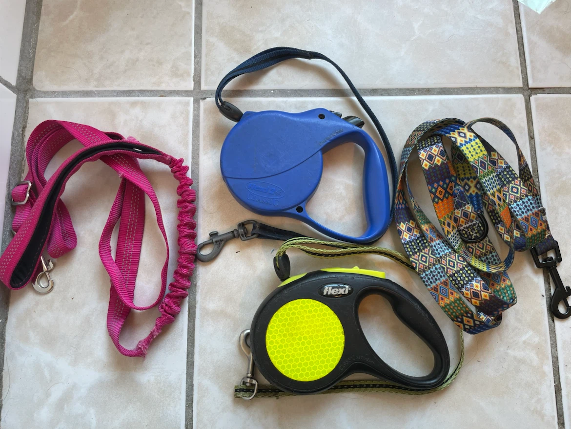 Small Dog Leashes Lot