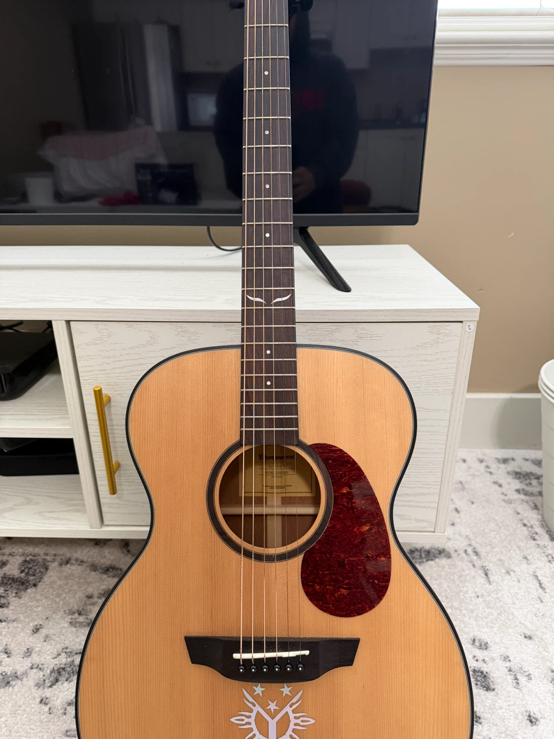 Orangewood Oliver S Acoustic Guitar - photo 4