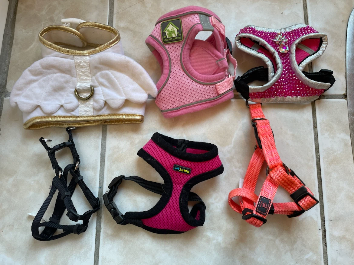 XXS Dog Harnesses Lot