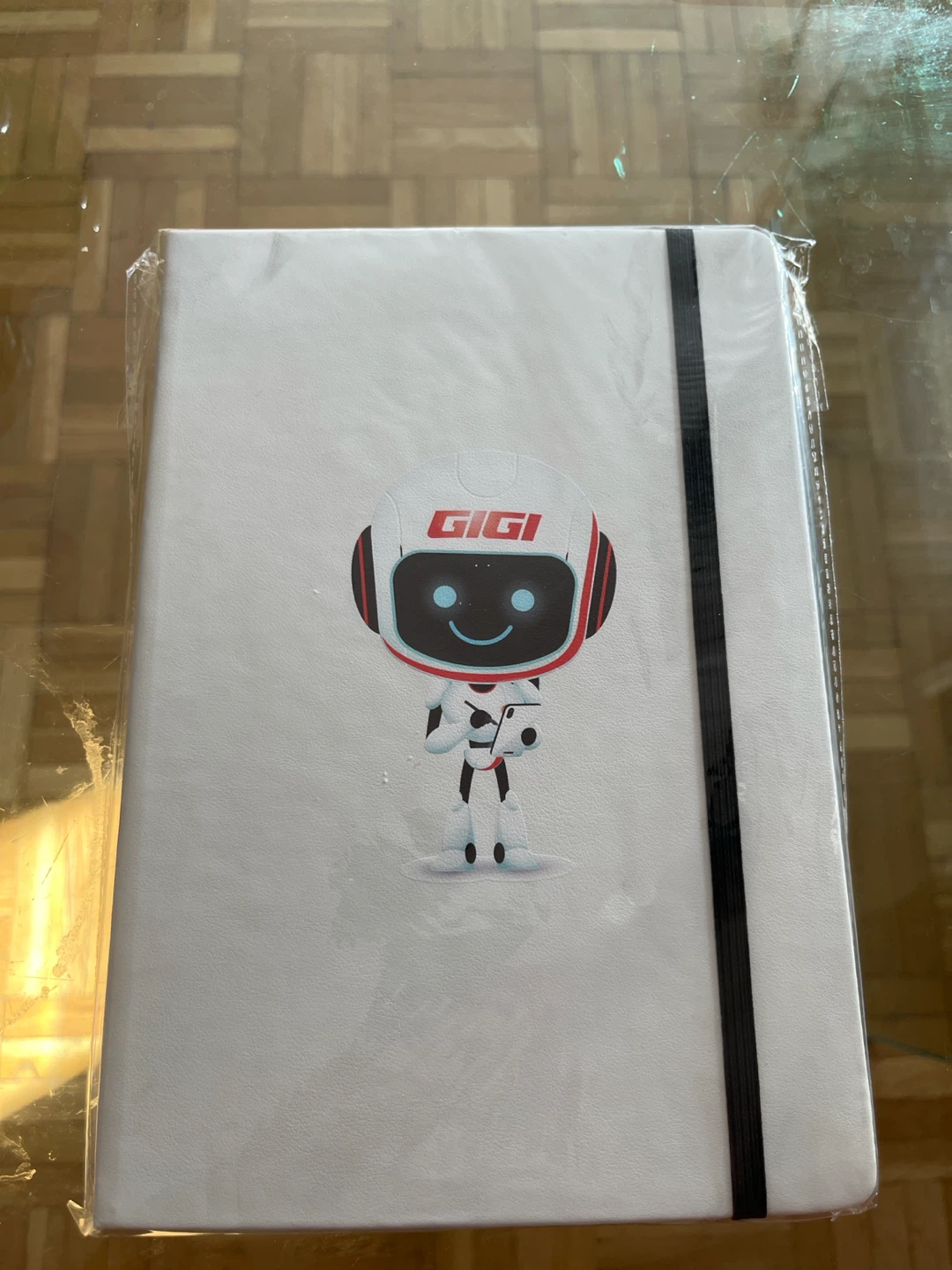 GIGI Robot Notebook