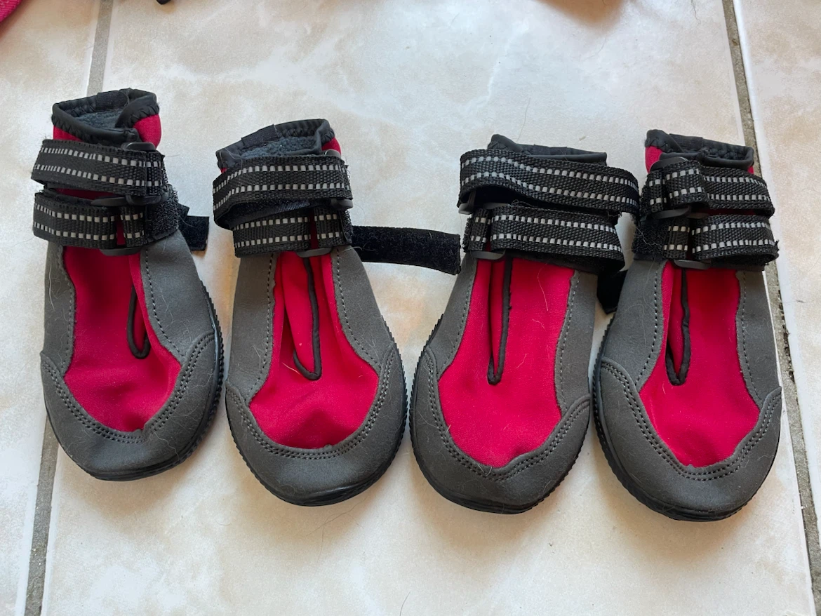 2.75” Wide Dog Boots All Season