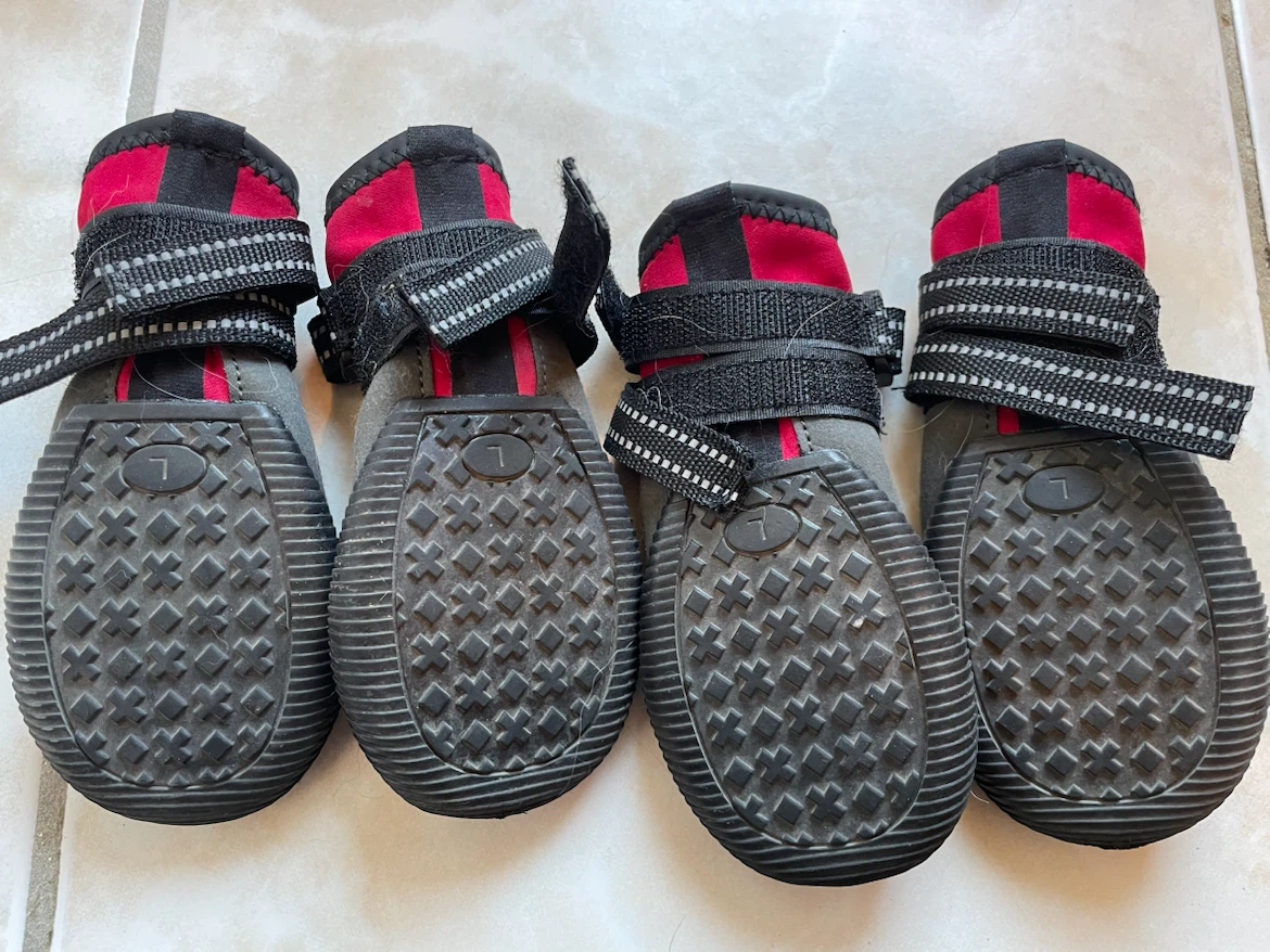 2.75” Wide Dog Boots All Season - photo 2