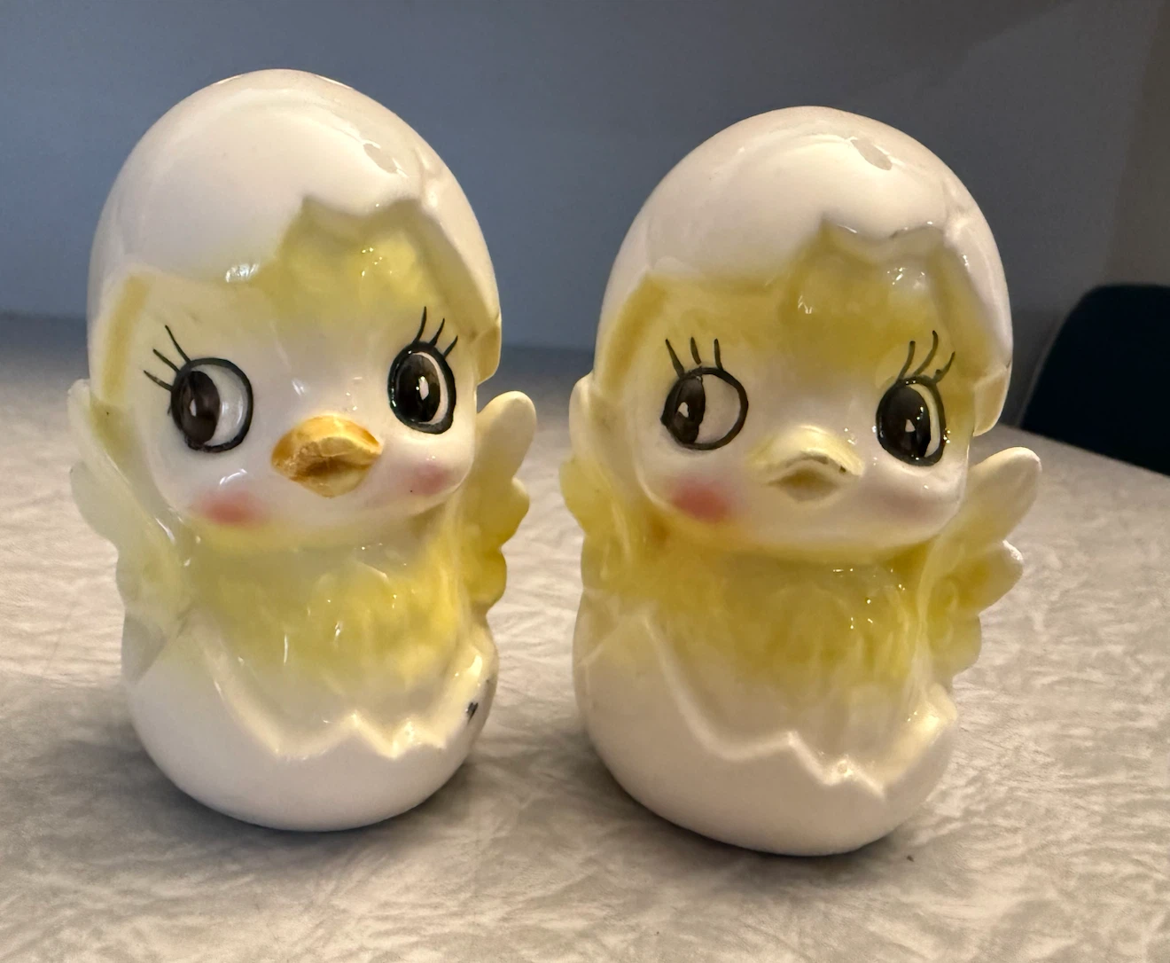 Chicks Hatching Salt and pepper
