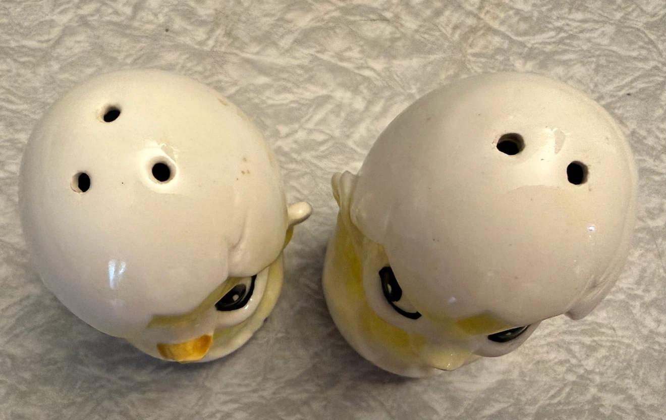 Chicks Hatching Salt and pepper - photo 2