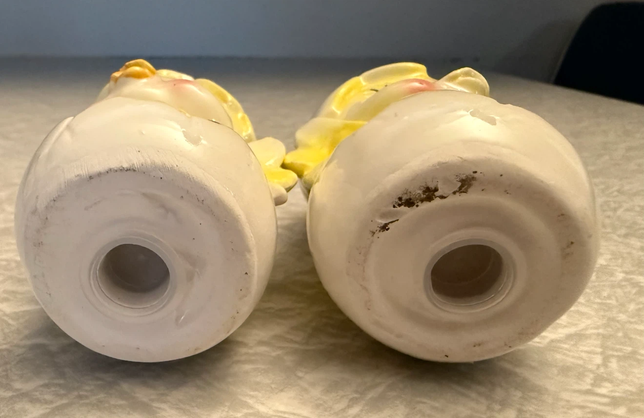 Chicks Hatching Salt and pepper - photo 5