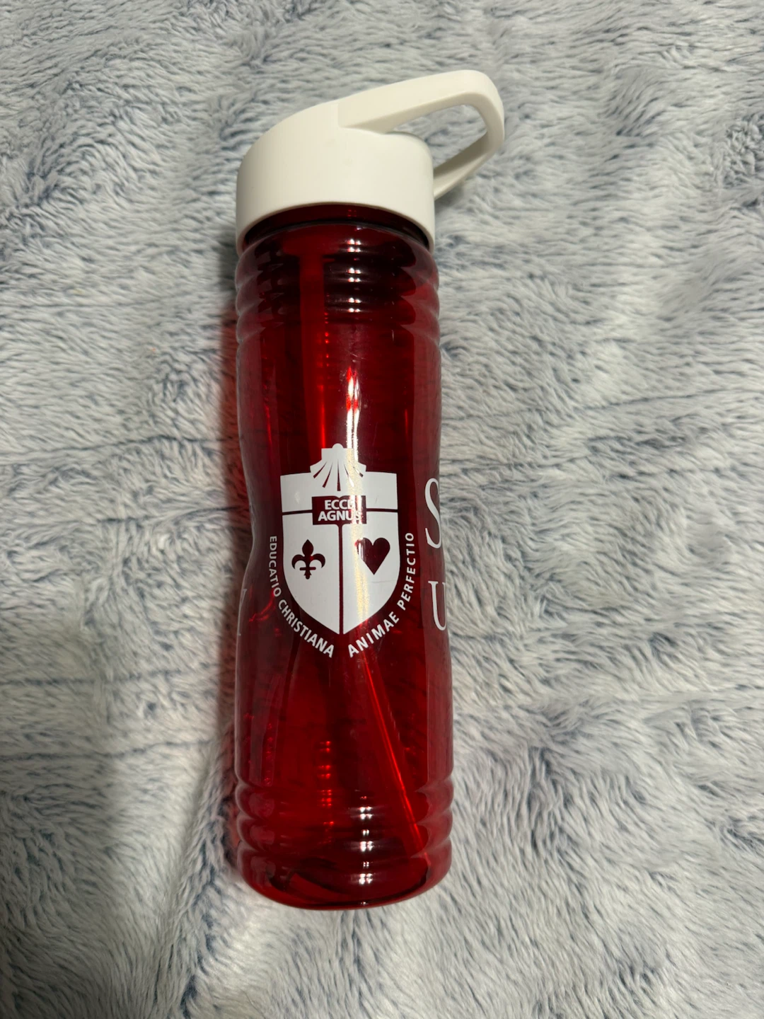 Red Water Bottle with Straw