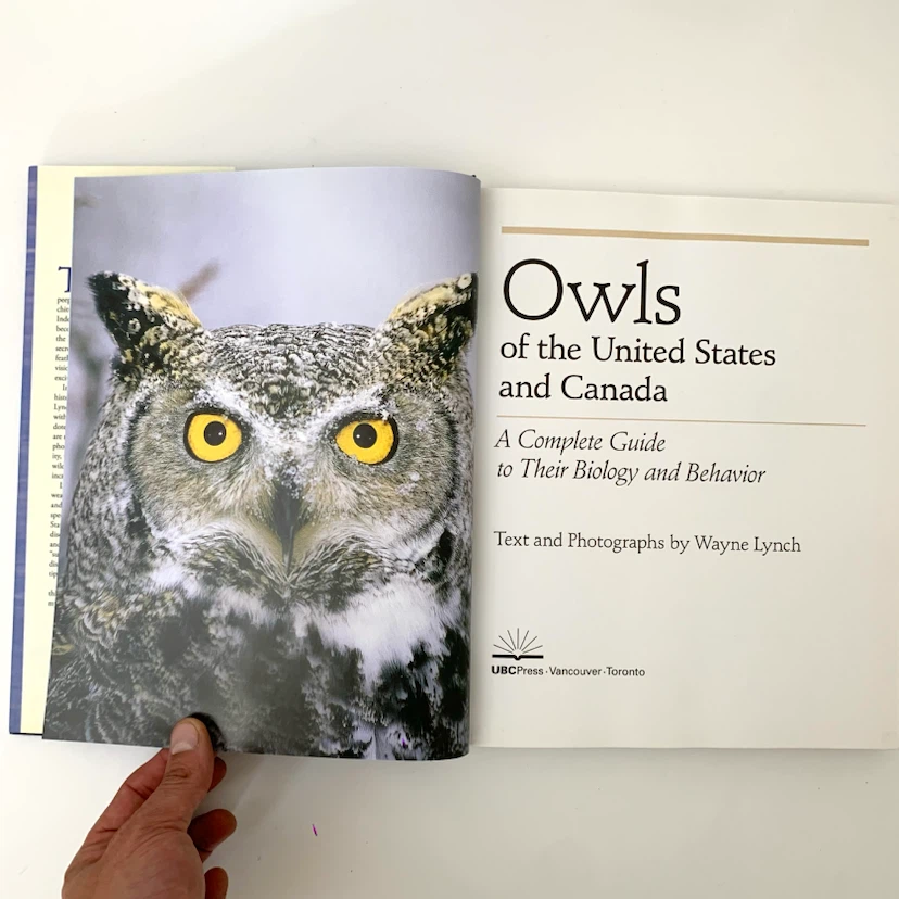 Owls United States Canada Bird Guide Wayne Lynch Hardcover Book - photo 2