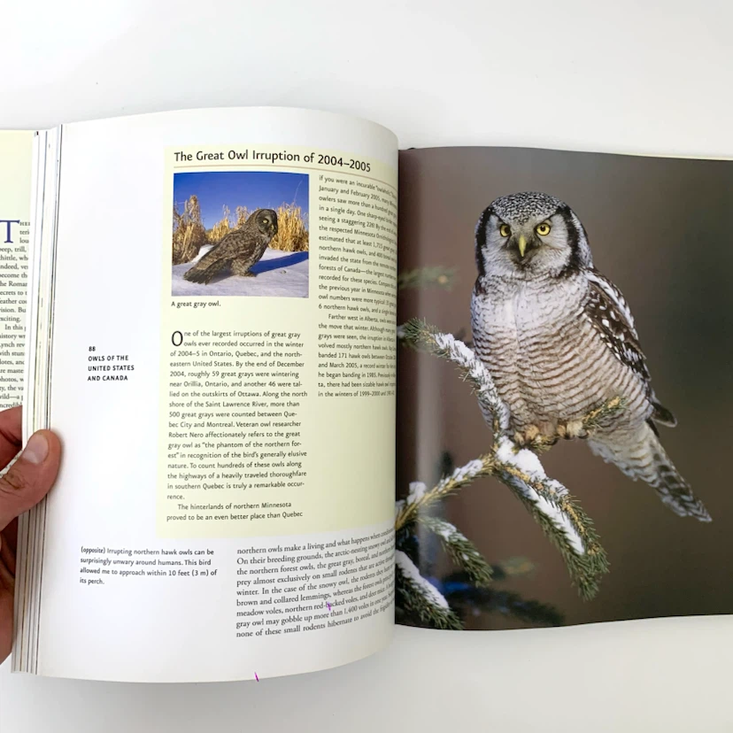 Owls United States Canada Bird Guide Wayne Lynch Hardcover Book - photo 5