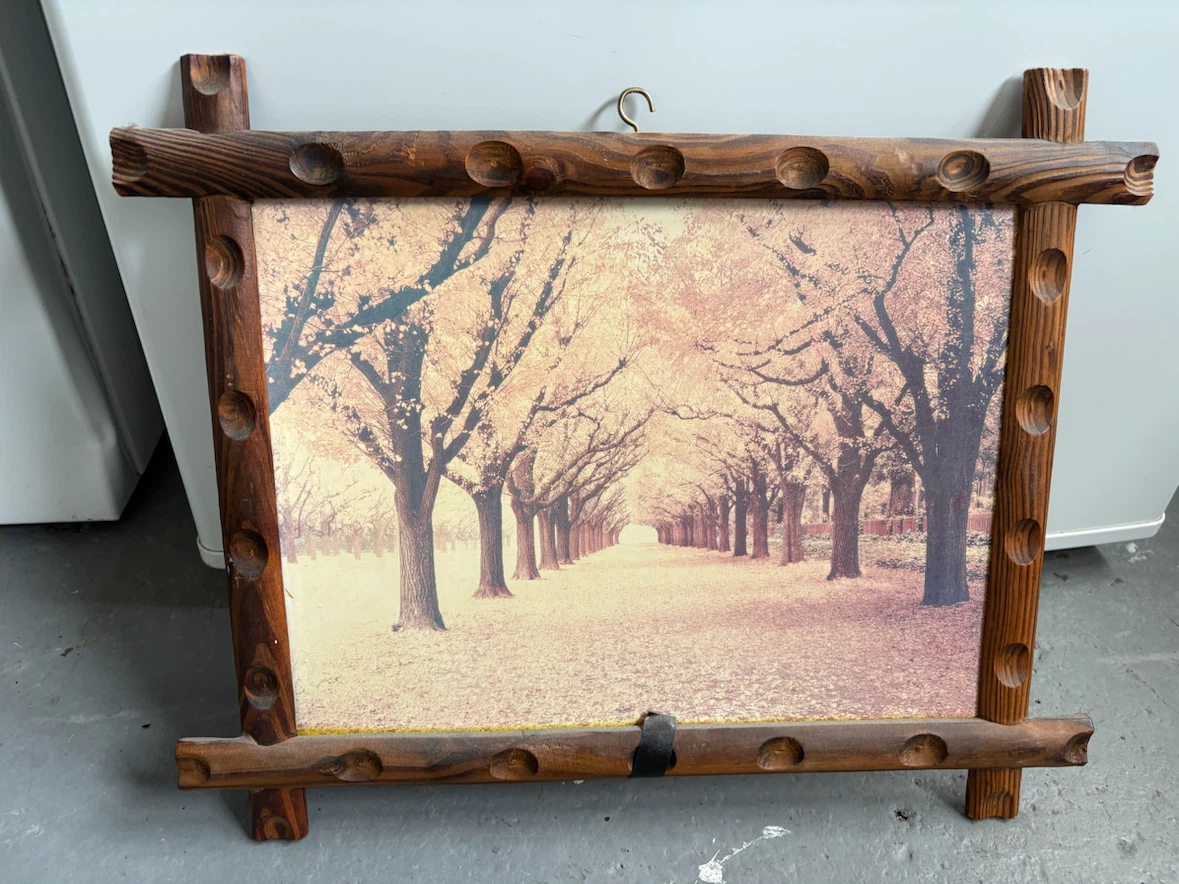 Wooden Framed Print of Tree Lined Path