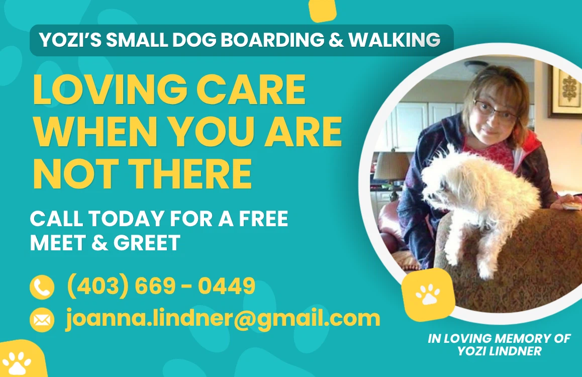 Dog boarding and walking