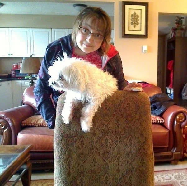 Dog boarding and walking - photo 2
