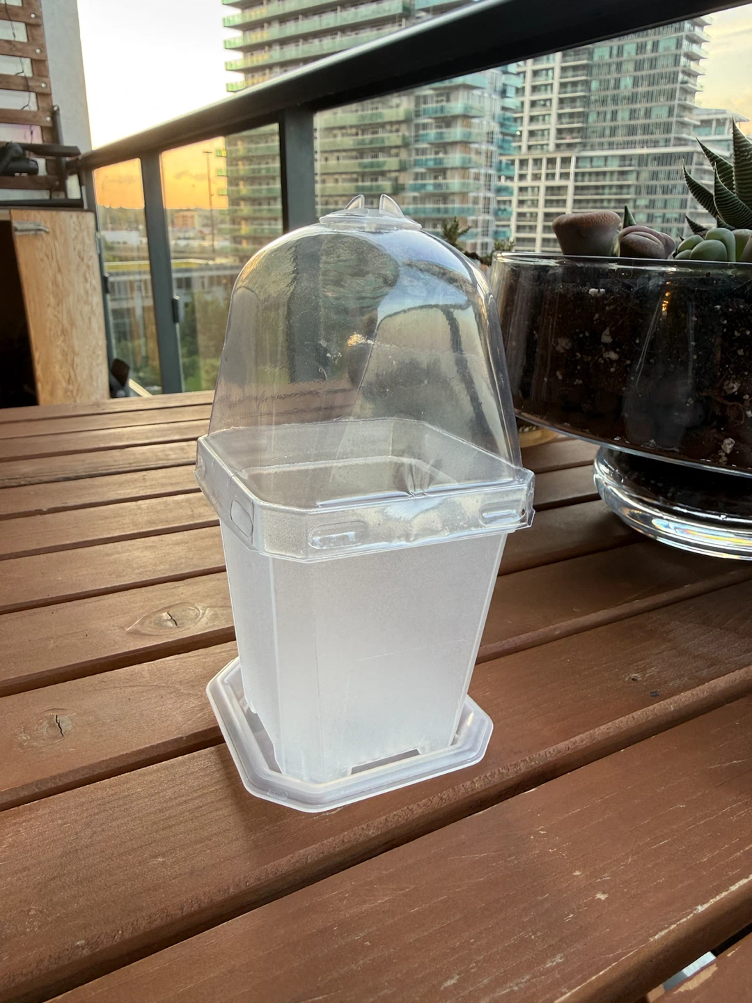 Clear Plastic Mini Greenhouse Pot with Lid