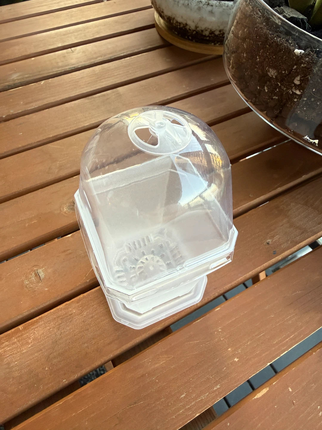 Clear Plastic Mini Greenhouse Pot with Lid - photo 2