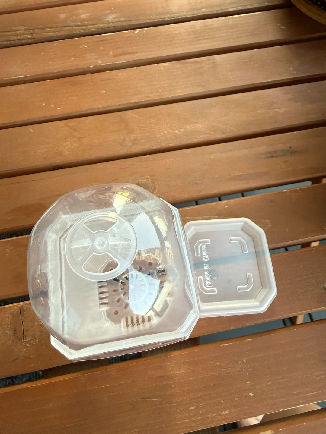 Clear Plastic Mini Greenhouse Pot with Lid - photo 4