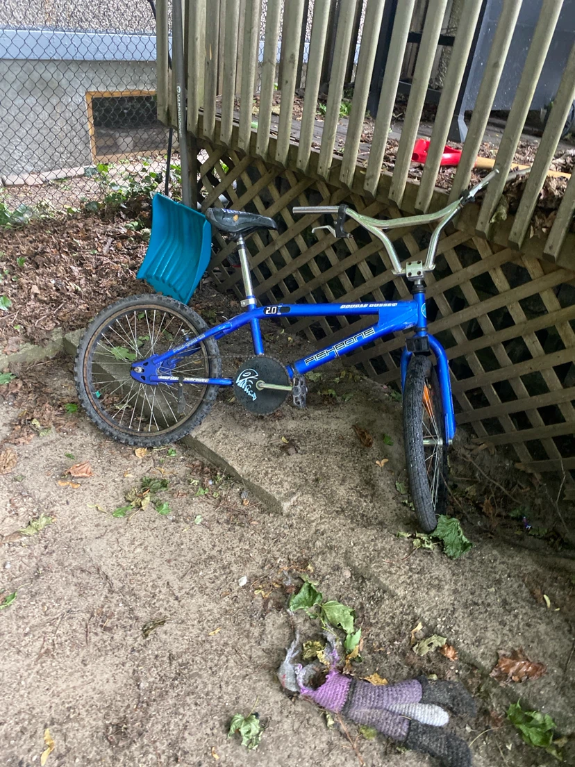 Blue Schwinn Mongoose BMX Bike