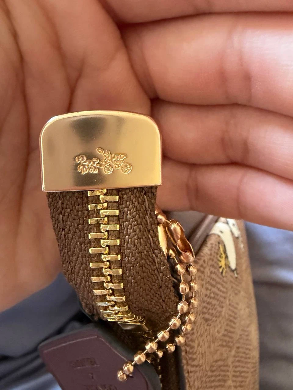 Coach x Peanuts Coach Teri - photo 5