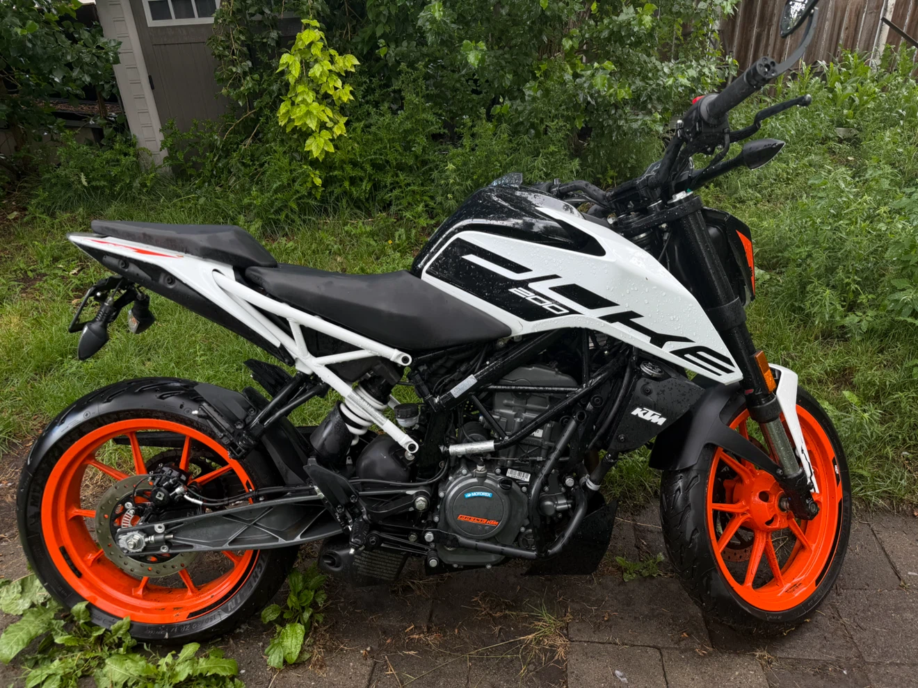 Low KM KTM DUKE 200- Amazing Starter Bike- NEED GONE