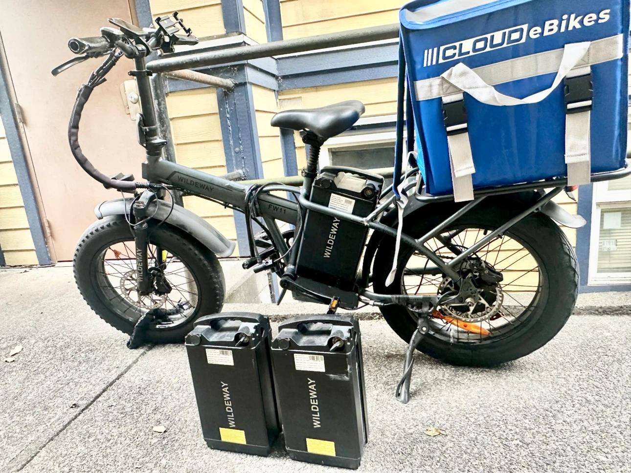 Electric bike for food delivery