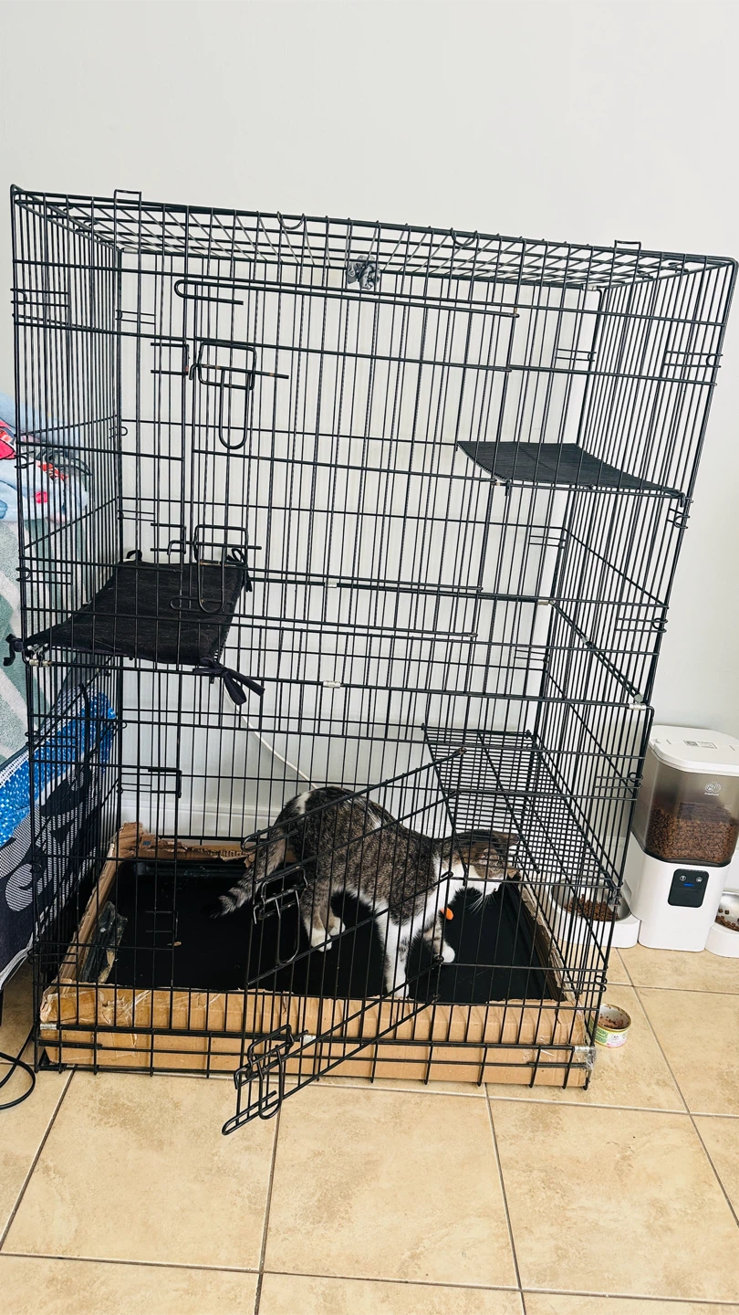 Large Metal Pet Dog Cat Cage with Hammock and Shelves