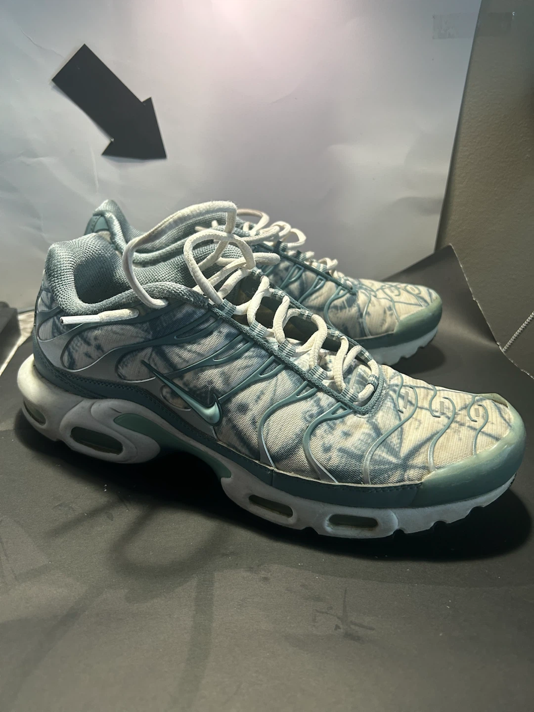Nike Air Max Plus TN SE Shoes