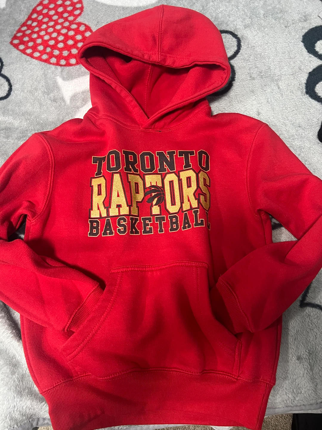 Toronto Raptors Basketball Hoodie