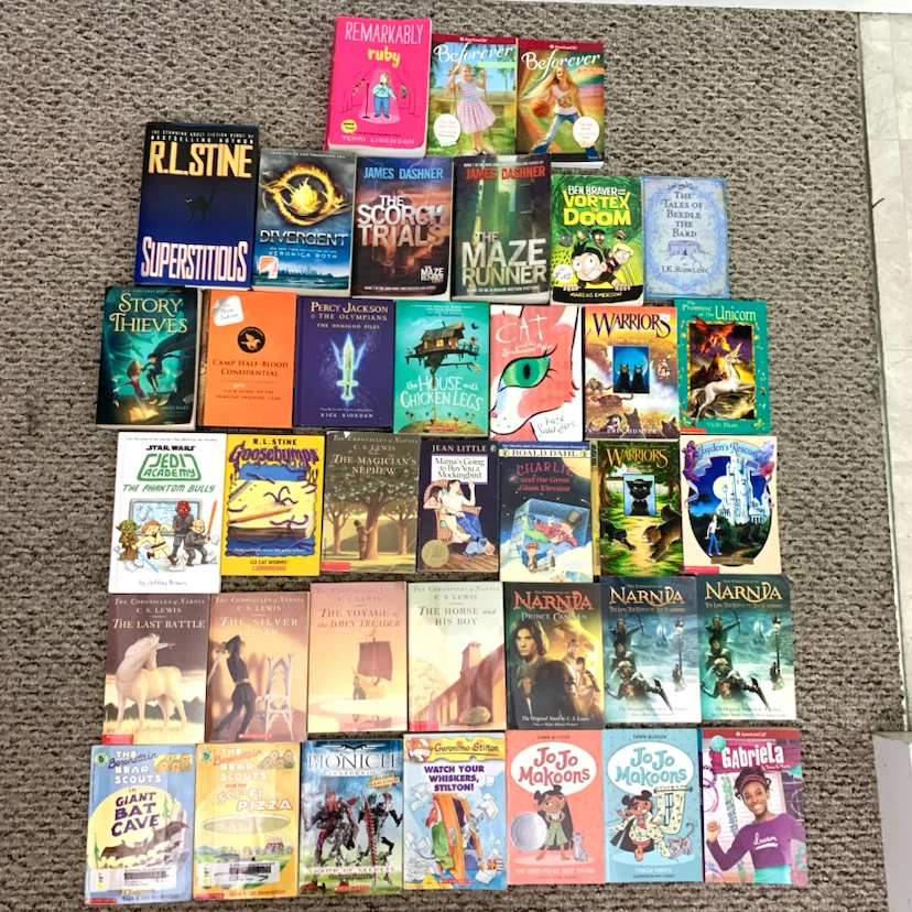 Children's Chapter Books Paperback Collection Adventure Fantasy