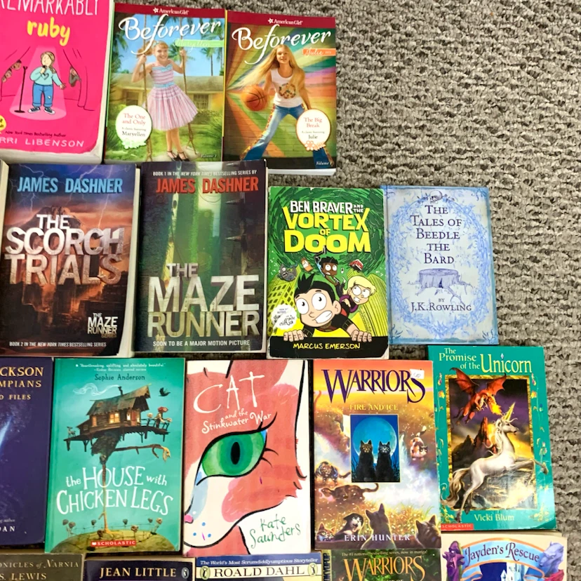 Children's Chapter Books Paperback Collection Adventure Fantasy - photo 3