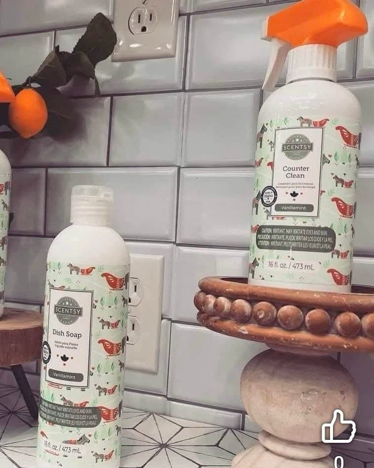 Scentsy Cleaning Products