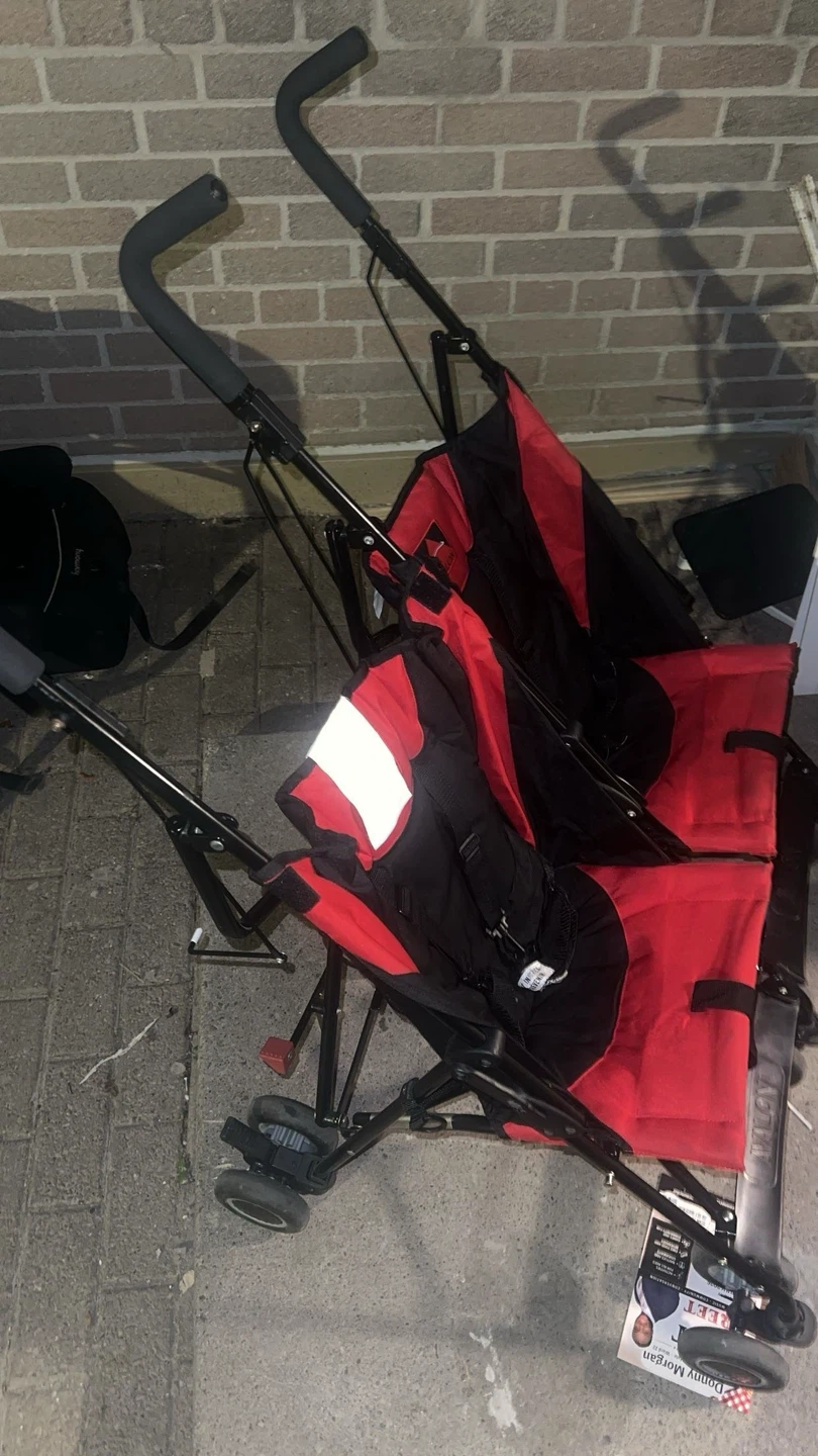 Avalon Double Stroller - photo 2