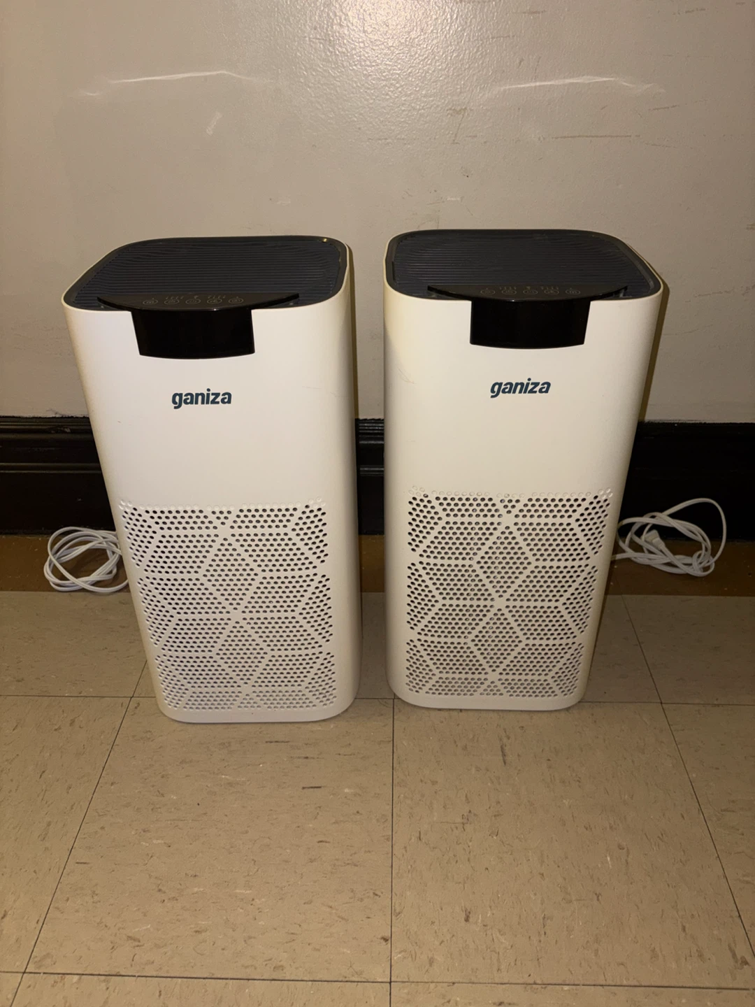 Ganiza White Air Purifiers (2-Pack)