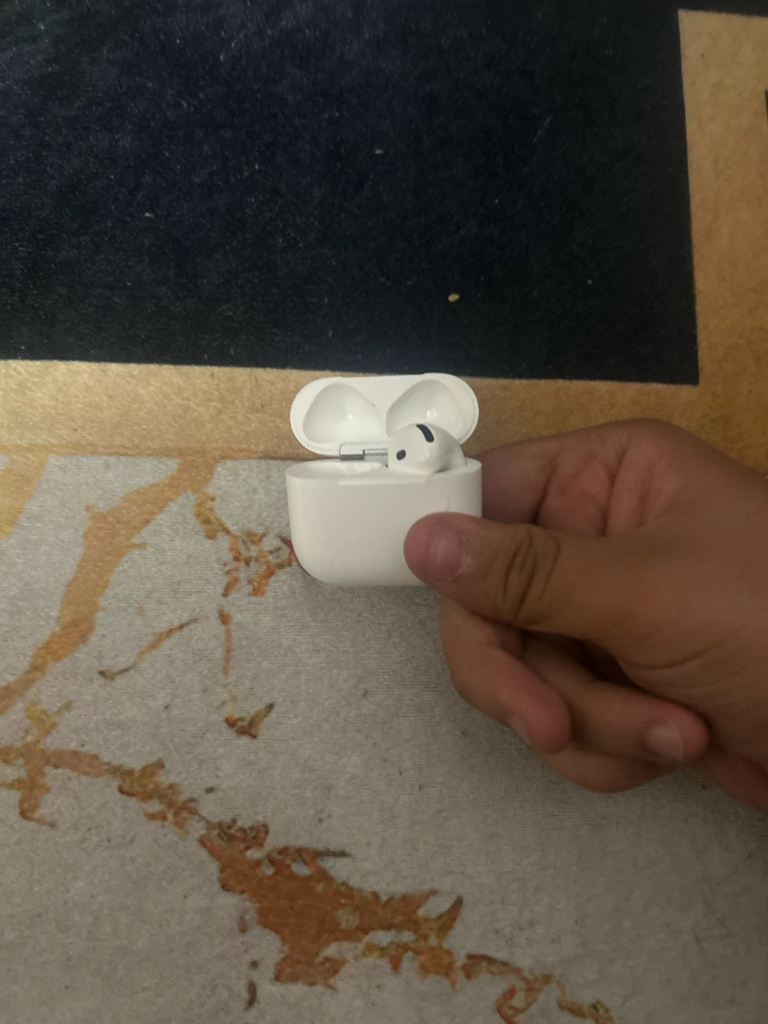 Apple AirPods Pro Charging Case