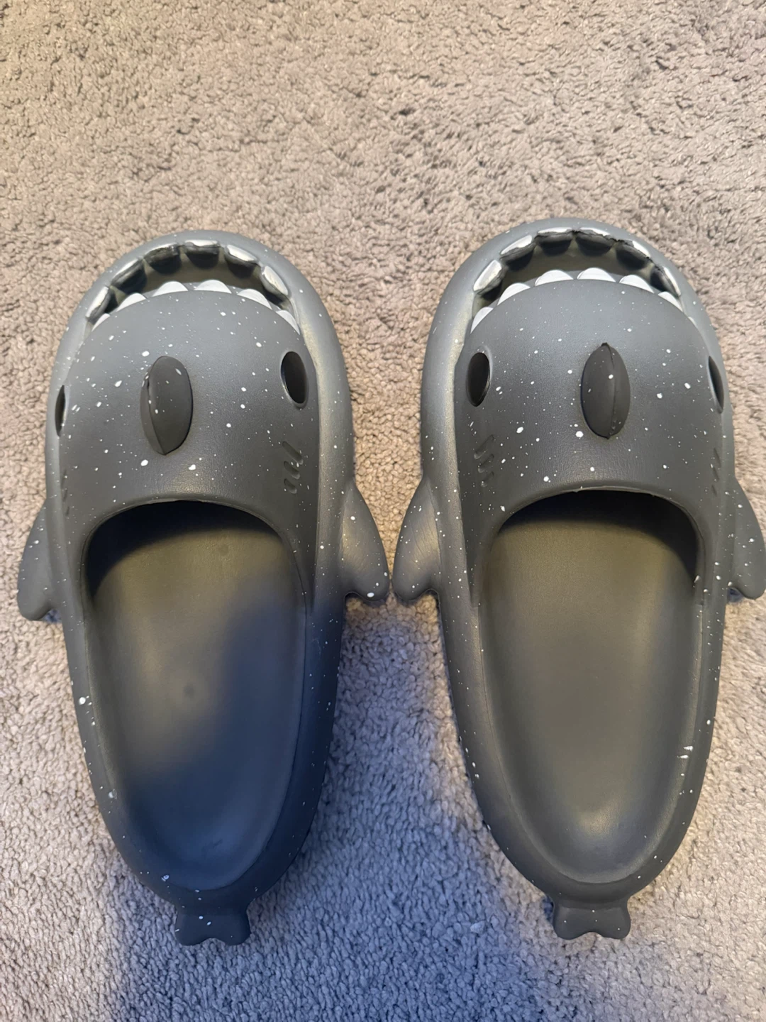 Shark slippers
