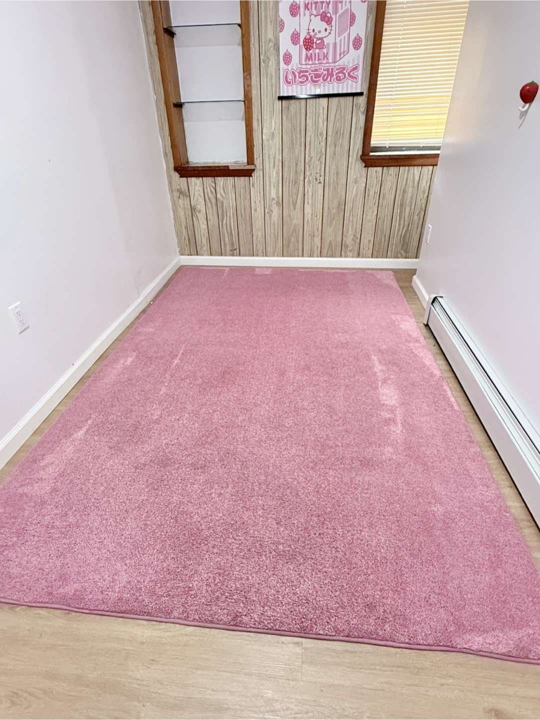 Pink Shag Area Rug