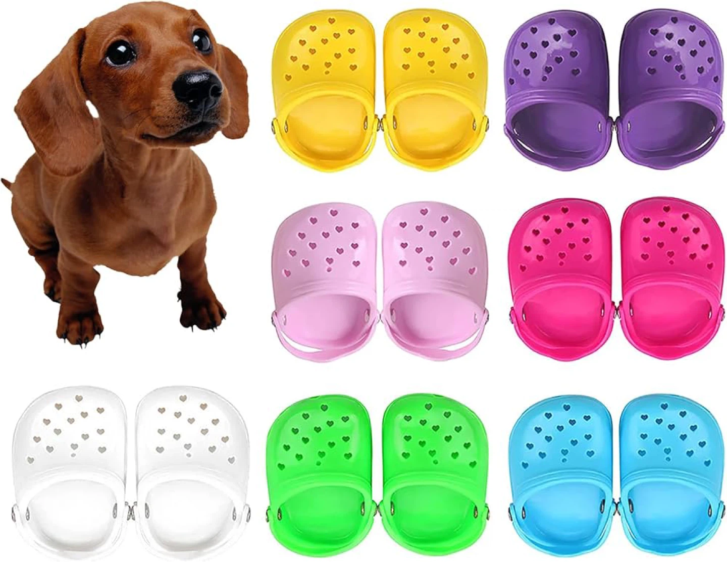 Dog Shoes for small dogs - new