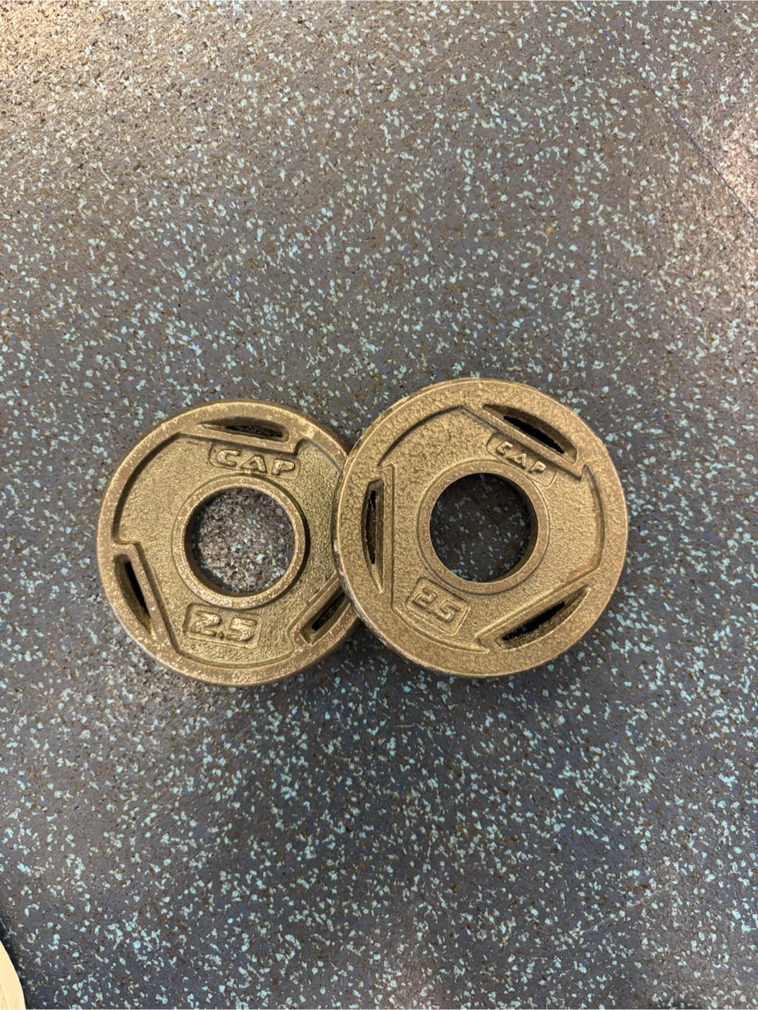 CAP 2.5 lb Weight Plates (Pair)
