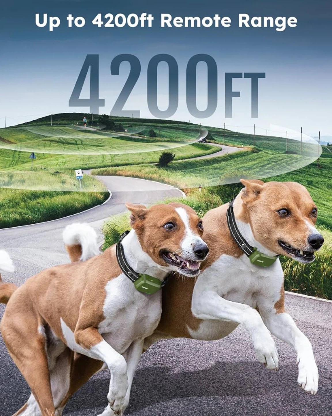 Jugbow Dog Shock Collar 2 Pack BNIB - photo 4