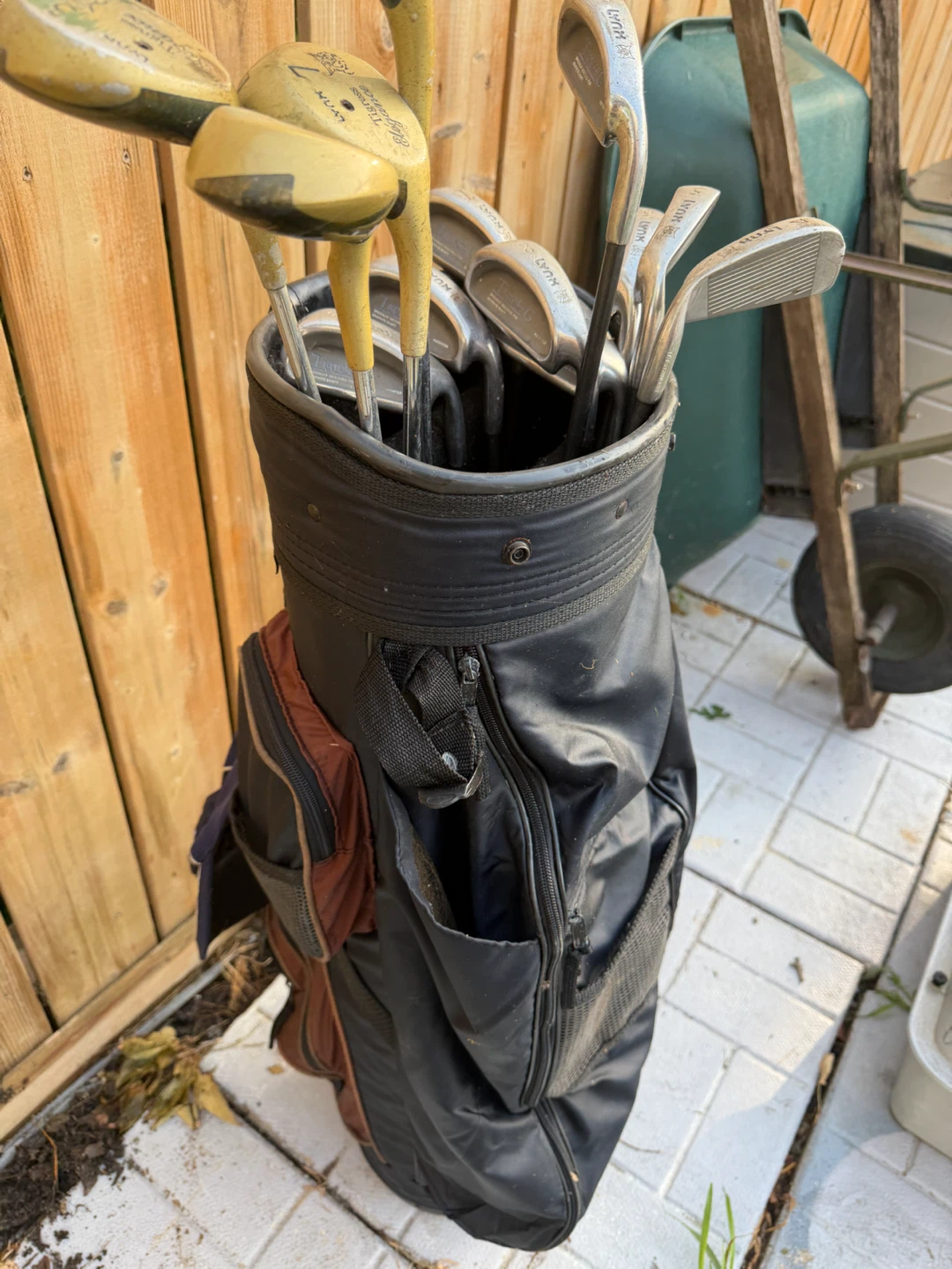 Lynx Golf Club Set with PowerTune Graphite Shafts