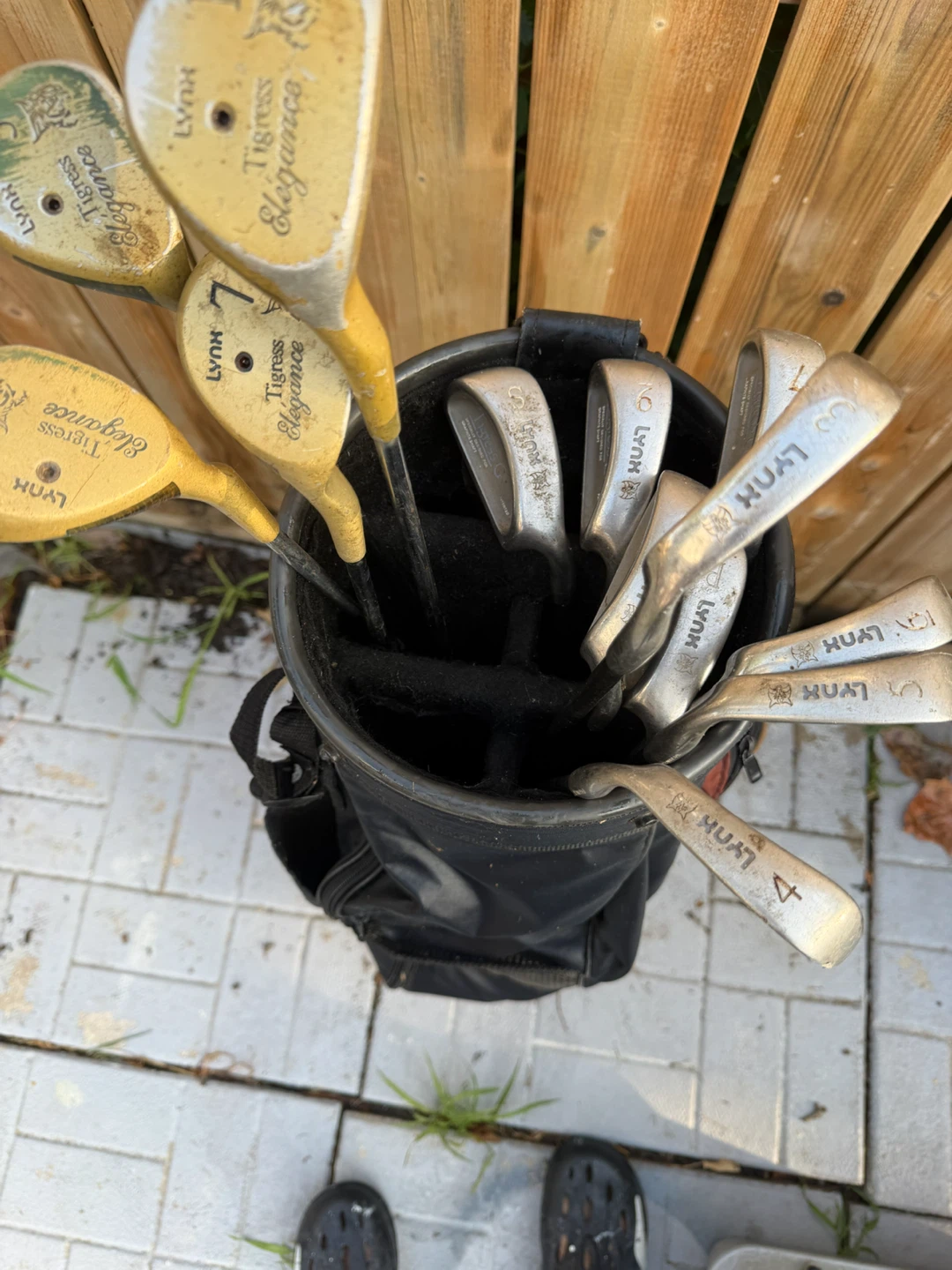 Lynx Golf Club Set with PowerTune Graphite Shafts - photo 3