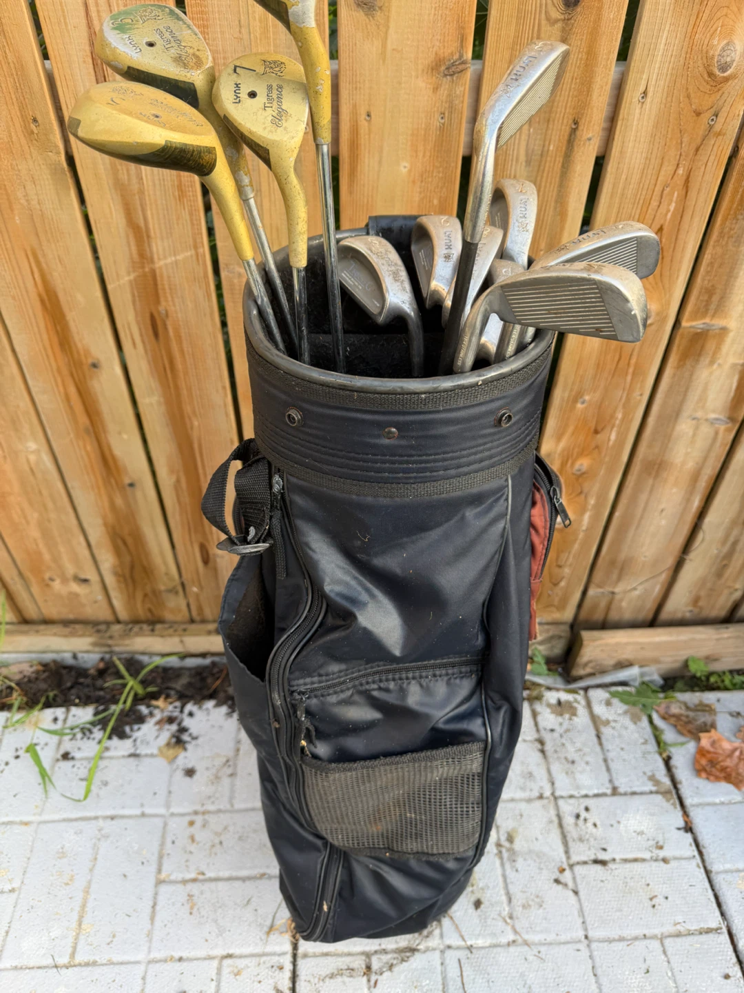 Lynx Golf Club Set with PowerTune Graphite Shafts - photo 4