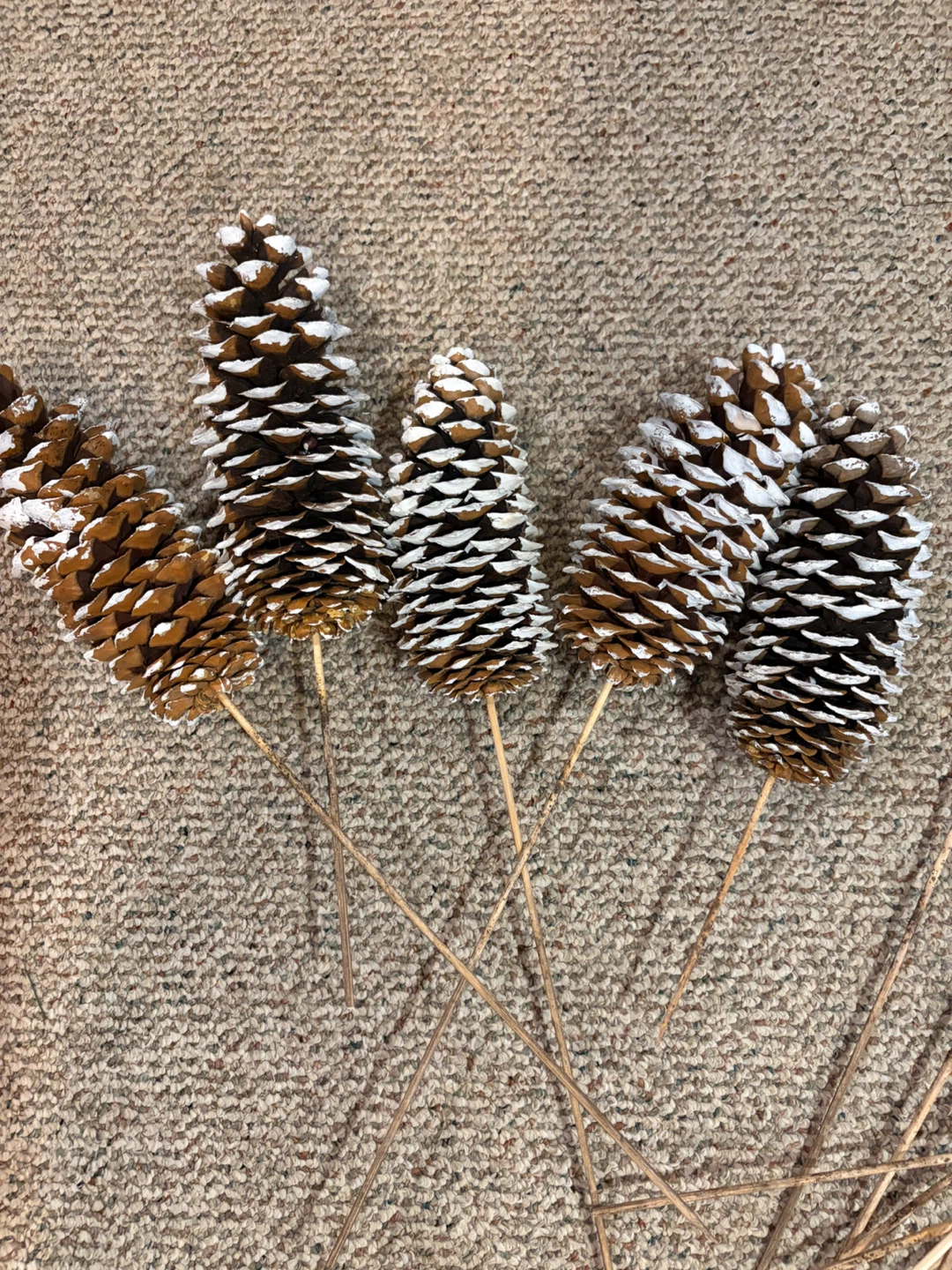 Decorative Stems Lot - photo 3
