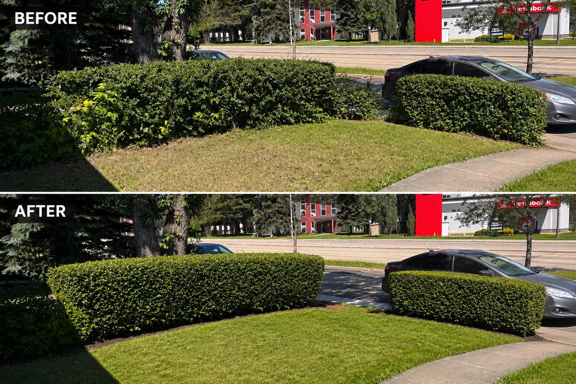 Professional flower pruner/trimer