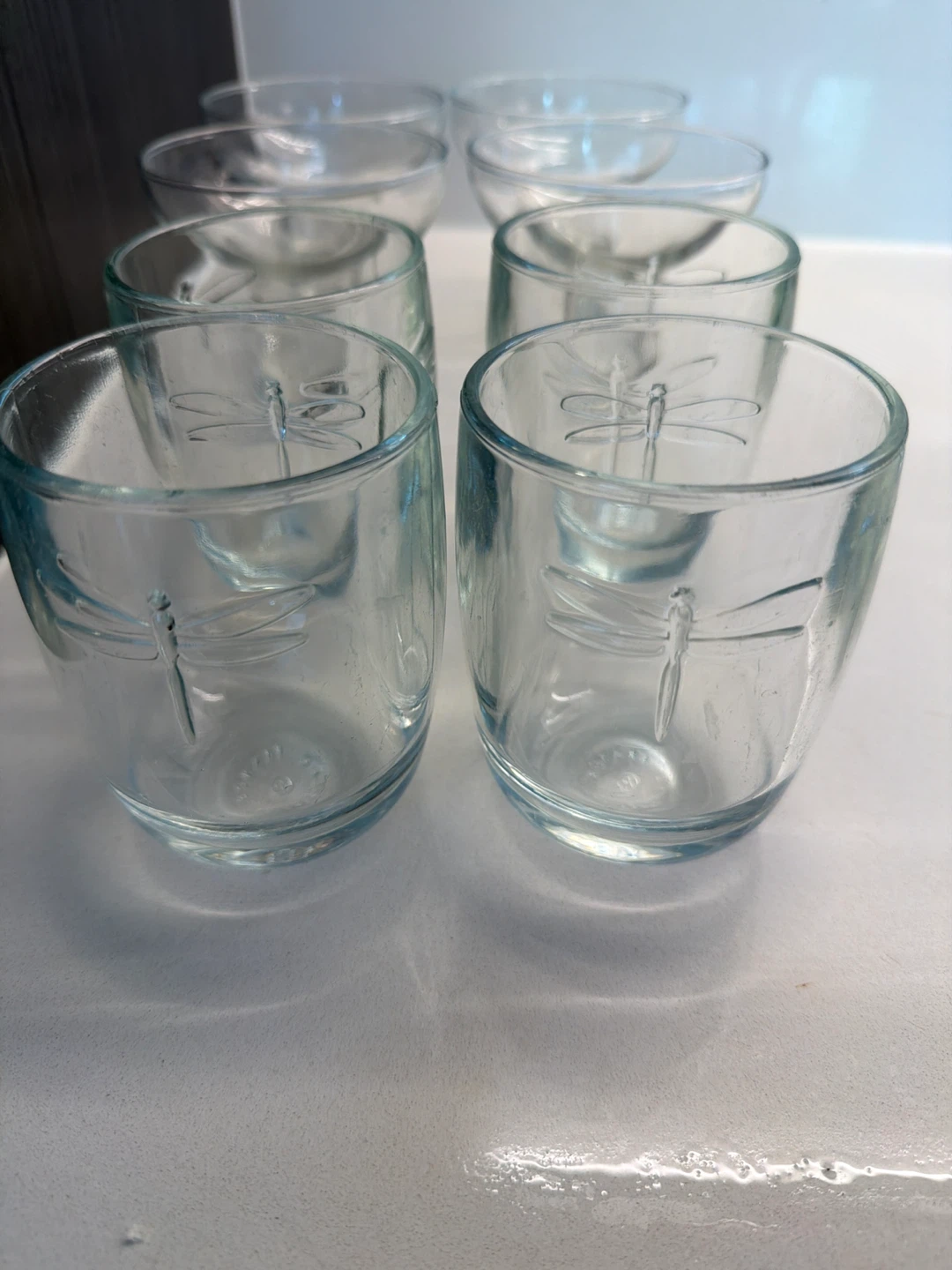 Set of 6 Glass Cups with Dragonfly and Bee Designs