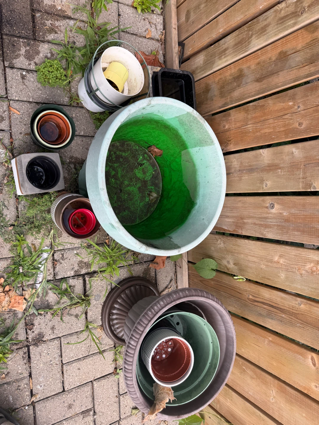 Garden stuff-Assorted Flower Pots- all for 15$ - photo 4
